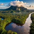 The Sound of the Amazon