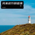 风来疏竹 - 淘汰