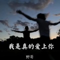 野哥 - 我是真的爱上你 (治愈版)