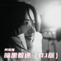 阿梨粤 - 暗里着迷