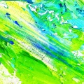 Aleksandar Pametar Djordjevic - Exhilaration