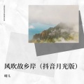 风吹故乡岸 (月光版)