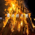 七里坝组合 - 左右为难