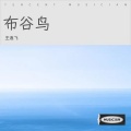 王逸飞 - 你的嫁衣伴暖风的晚妆