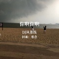 DJ风景线 - 用九柑仔店 (DJ风景线 remix)