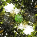 arid、sSoh、Max Keilman - self-forgiveness