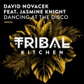 David Novacek、Jasmine Knight - Dancing at the Disco