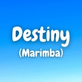 Destiny (Marimba)