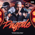MC ERYCK HK、Dj Tezinho、DJ FERRUJO DA SERRA、Digdin、Mc Priscila、CORVINA DJ - Achei Que Era Pagode (Explicit)