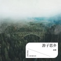 赵顺 - 游子思乡