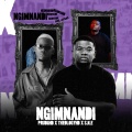 Ngimnandi (feat. Jay Sax)