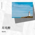 倪金茂 - 月光醉