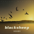 Black Sheep