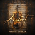 Suleymer、Dj Goja、Alin Radu、Ovidiu Marius Goja - Ancient