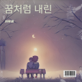 꿈처럼 내린(如梦般坠落)