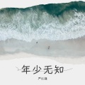 严红强 - 年少无知