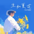 陶天然 - 生如夏花