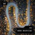 陈保才 - 桃花雨