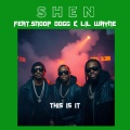 This Is It (feat. Snoop Dogg & Lil Wayne)(Explicit)