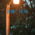 林宇墨 - 你像一阵风