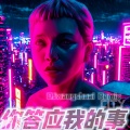 你答应我的事 (DJwangshuai remix)