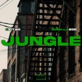 Jungle (Explicit)