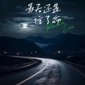 李高高 - 最后还是信了命 (女版)