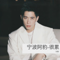宁波阿豹 - 巴尔鲁克的风