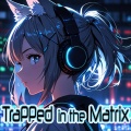 Trapped in the Matrix