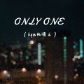 ONLY ONE (bgm纯音乐)