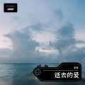 逝去的爱