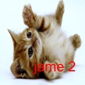 allaroundalice - jame 2