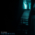 Tulpas - Moscow Windows