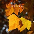 原子蛋 - 美丽的童话