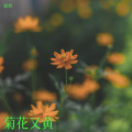 耿辉 - 菊花又黄 (Demo版)