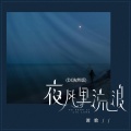 夜风里流浪 (DJ浩然版)