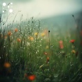 Peaceful Meadow Rainfall