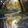Morning Creek Light