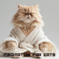 Cats Music Zone、Sleepy Cats!、Cat Music!、Cat Hour、Meditation! - Solfeggio for Calm Paws