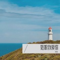 李登 - 姑娘我爱你