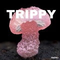 trippy (Explicit)