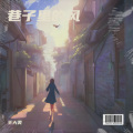 王大美 - 半称心