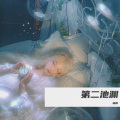 杨鲤 - 今日我离别