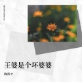陈保才 - 王婆是个坏婆婆
