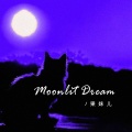 Moonlit Dream (国语版)