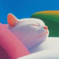 快接小猫的电话
