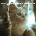 Relax My Kitten、Music For Cats、RelaxMyCat - Zen Pet Pathways