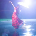 轻音乐经典钢琴曲 舒缓治愈音乐