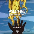 DJ TORA、Steerner - WILDFIRE