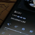 DJ铁柱 - 画心